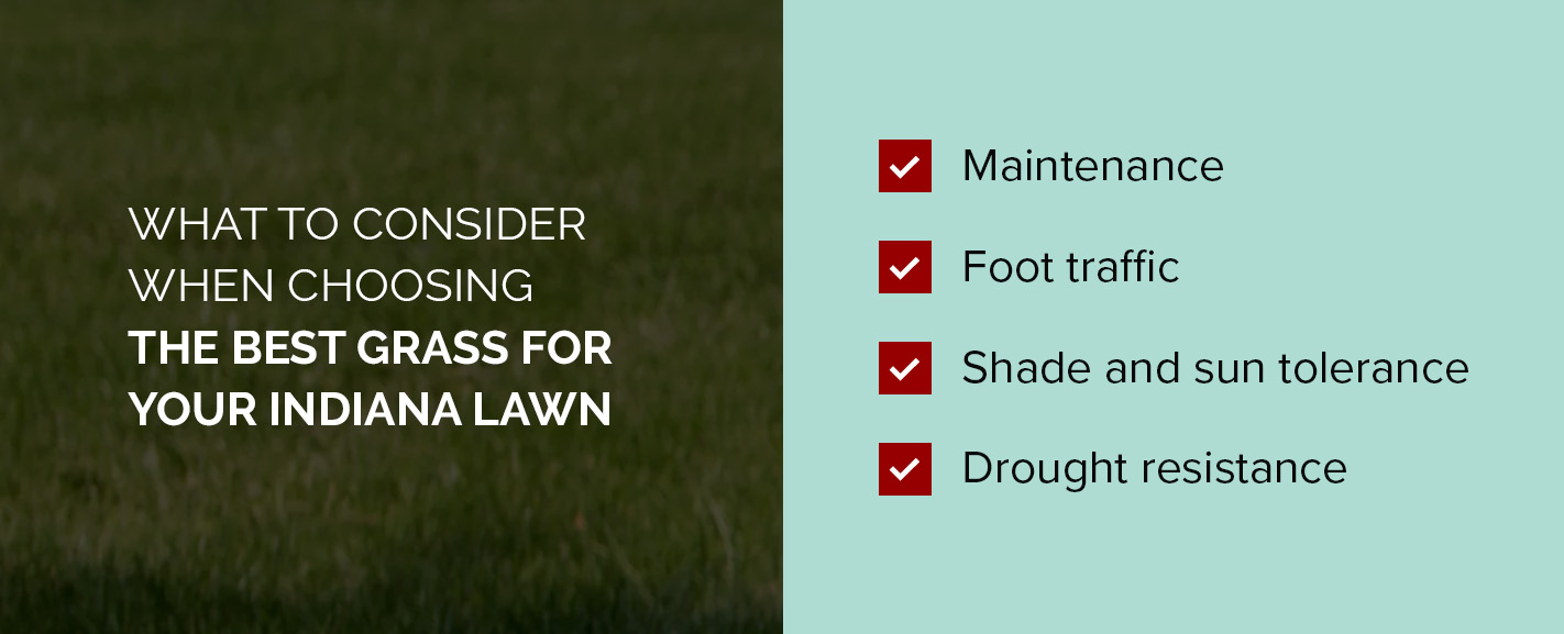 What to Consider When Choosing The Best Grass for Your Indiana Lawn