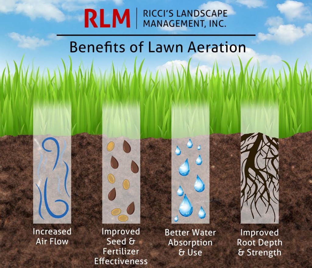 Aeration Services | Ricci's Landscape Management